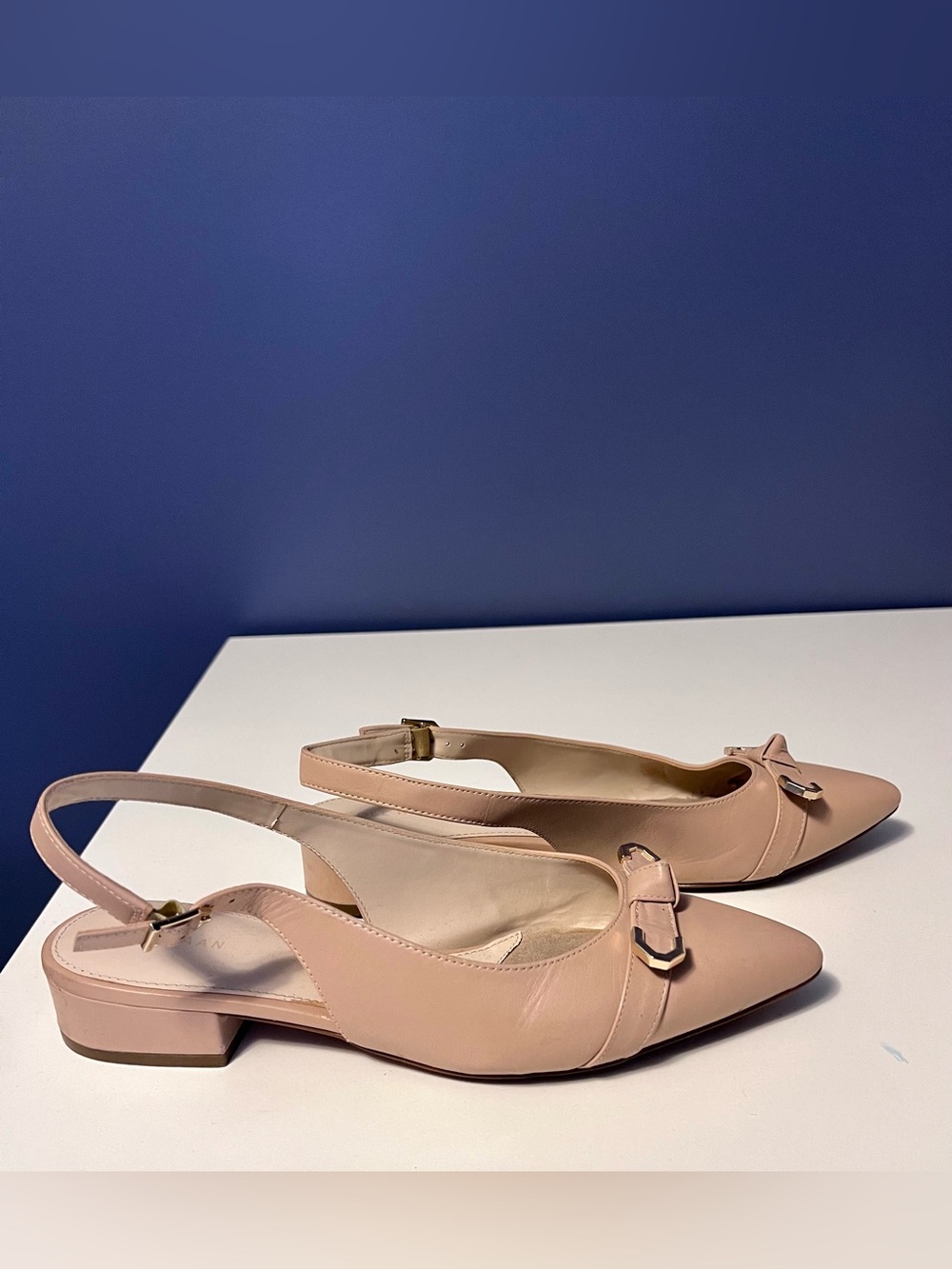Cole Haan Nude Pointed Slingback Flats with Metal Accent - Picture 4 of 6